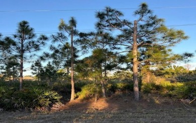 Beach Lot For Sale in Lehigh Acres, Florida