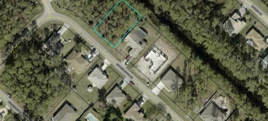 Beach Lot For Sale in Palm Coast, Florida