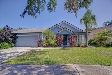Beach Home For Sale in Riverview, Florida