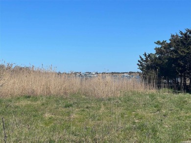 Beach Lot For Sale in East Moriches, New York