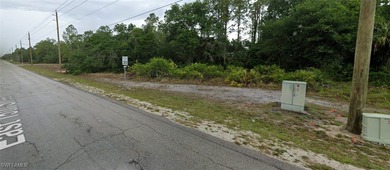 Beach Acreage For Sale in Lehigh Acres, Florida