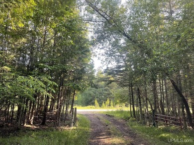 Beach Acreage For Sale in Garden, Michigan