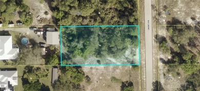 Beach Lot Sale Pending in Lehigh Acres, Florida