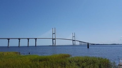 Beach Acreage For Sale in Brunswick, Georgia