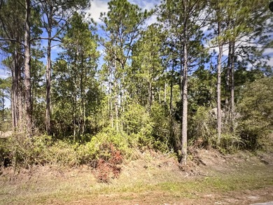 Beach Lot For Sale in Navarre, Florida