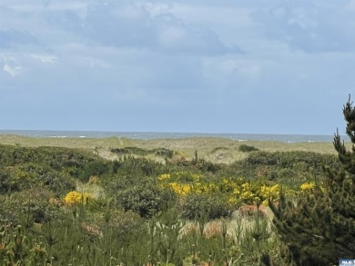 Beach Lot For Sale in Ocean Shores, Washington