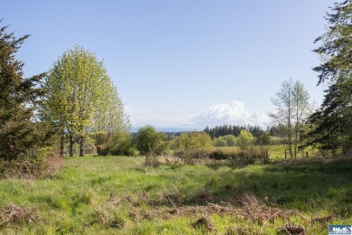 Beach Acreage For Sale in Port Angeles, Washington