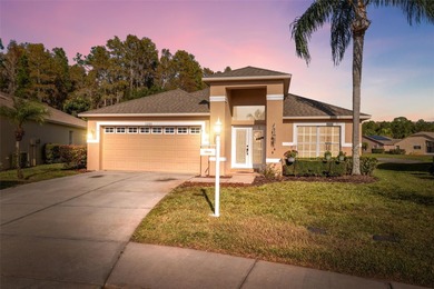 Beach Home For Sale in Trinity, Florida