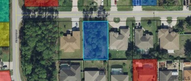 Beach Lot For Sale in Palm Coast, Florida