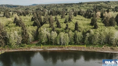 Beach Acreage Sale Pending in Forks, Washington