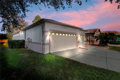 Beach Home For Sale in Land O Lakes, Florida