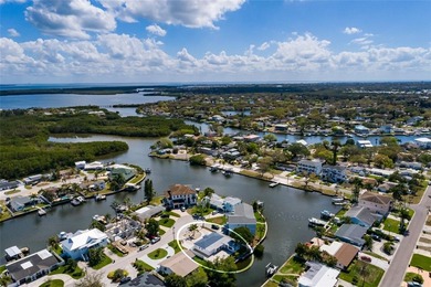 Beach Home For Sale in St. Petersburg, Florida