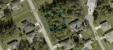 Beach Lot Sale Pending in Palm Coast, Florida