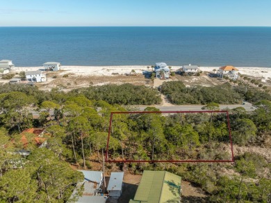 Beach Lot For Sale in Bald Point, Florida