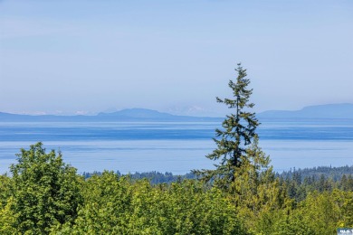 Beach Acreage For Sale in Port Angeles, Washington