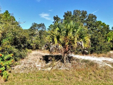 Beach Lot For Sale in North Port, Florida
