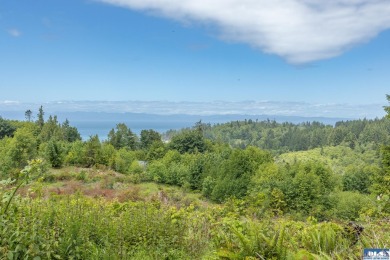 Beach Acreage For Sale in Port Angeles, Washington