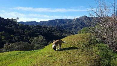 Land/Lot - Topanga, CA Opportunity Knocks!!! Purchase this 1.25 - Beach Lot for sale in Topanga, California on Beachhouse.com