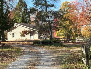 Beach Home For Sale in Ashtabula, Ohio