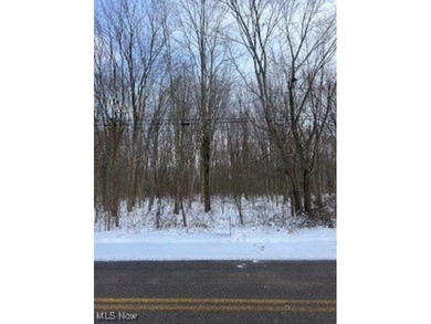 Beach Lot For Sale in Geneva, Ohio