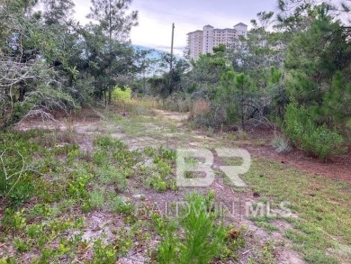 Beach Lot For Sale in Gulf Shores, Alabama