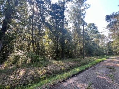 Beach Lot For Sale in Waveland, Mississippi