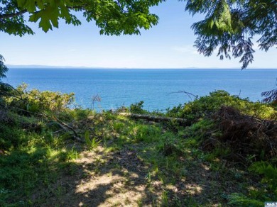 Beach Acreage For Sale in Port Angeles, Washington