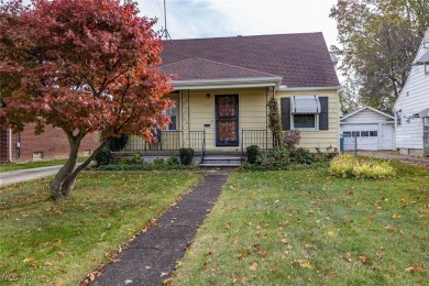 Beach Home For Sale in Lorain, Ohio