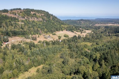 Beach Acreage For Sale in Port Angeles, Washington