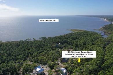 Beach Lot For Sale in Sopchoppy, Florida