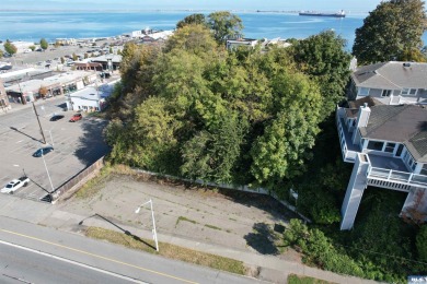 Beach Commercial For Sale in Port Angeles, Washington