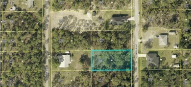 Beach Lot For Sale in Lehigh Acres, Florida