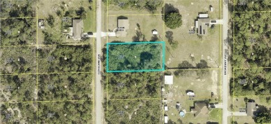 Beach Lot For Sale in Lehigh Acres, Florida