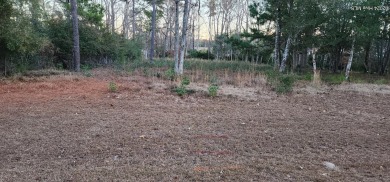 Beach Lot For Sale in Supply, North Carolina