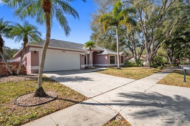 Beach Home For Sale in Palm Harbor, Florida
