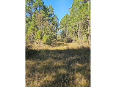 Beach Acreage For Sale in Coden, Alabama