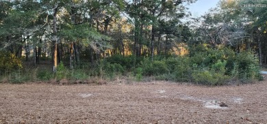 Beach Lot For Sale in Supply, North Carolina