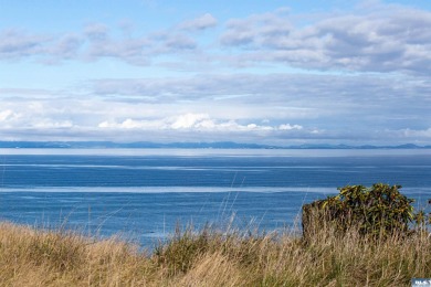 Beach Home For Sale in Port Angeles, Washington