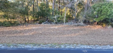 Beach Lot For Sale in Supply, North Carolina