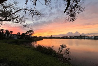 Beach Condo For Sale in Bradenton, Florida