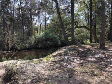 Beach Home For Sale in Robertsdale, Alabama