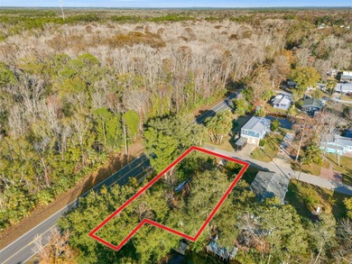 Beach Lot For Sale in Weeki Wachee, Florida