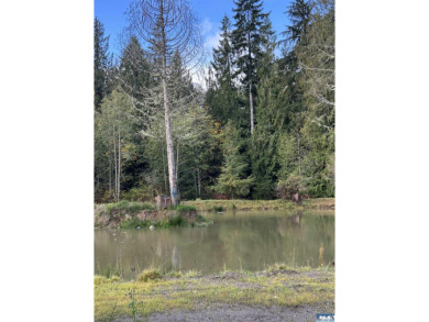 Beach Acreage For Sale in Port Angeles, Washington