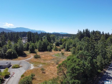 Beach Acreage For Sale in Port Angeles, Washington