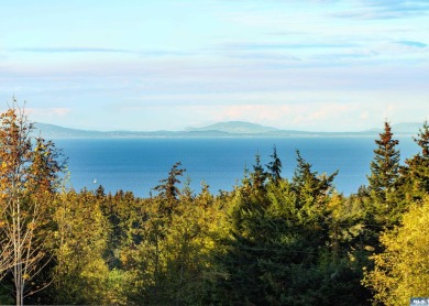 Beach Acreage Sale Pending in Port Angeles, Washington