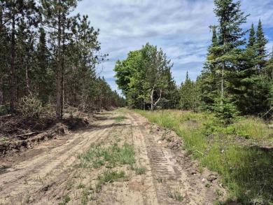 Beach Acreage Active Under Contract in Manistique, Michigan