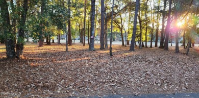 Beach Lot For Sale in Supply, North Carolina