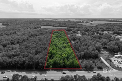Beach Acreage For Sale in Foley, Alabama