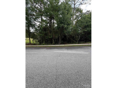 Beach Lot For Sale in Spanish Fort, Alabama