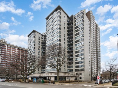 Beach Condo For Sale in Chicago, Illinois